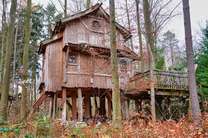 Treehouse in the woods